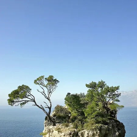 Bluesun Marina Hotel