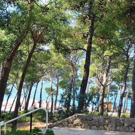 Bluesun Marina Hotel 4*